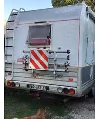 Laika eco vip 2