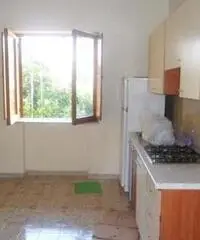 Nola Affitto Appartamento - Napoli