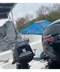 Mercury 150cv pro xs 2020 Mercury 150cv pro xs 2020